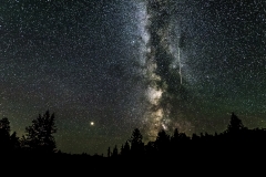 Grand Marais milky way forest Minnesota
