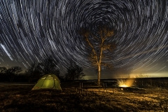 Jester Park Star Trail