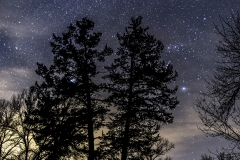 Ledges tree stars Iowa