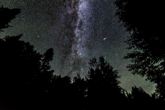 Milky Way Grand Marais stars forest night