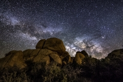 Joshua Tree  desert  milky way