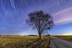 moon lit tree Iowa road landscape star startrail nightsky