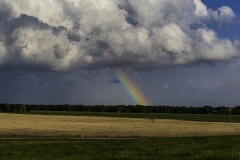 Kansas rainbow