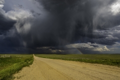 Wyoming rainbow