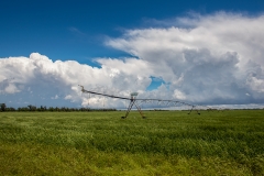 brewing-clouds-web
