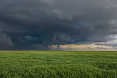 storm wheat field