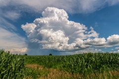 thunderhead-web